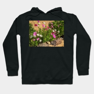 Pink and White Cosmos Garden Hoodie